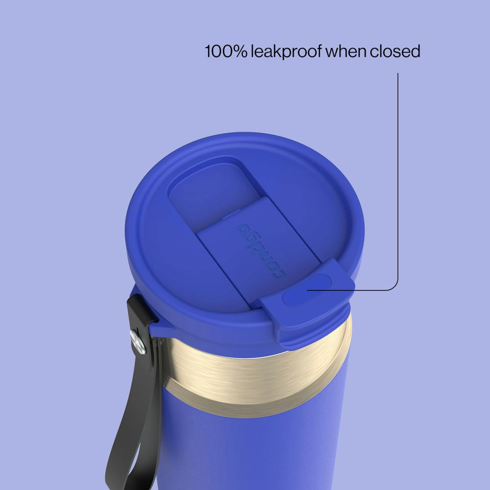 24oz DualSip Bottle - Wild Indigo Champagne