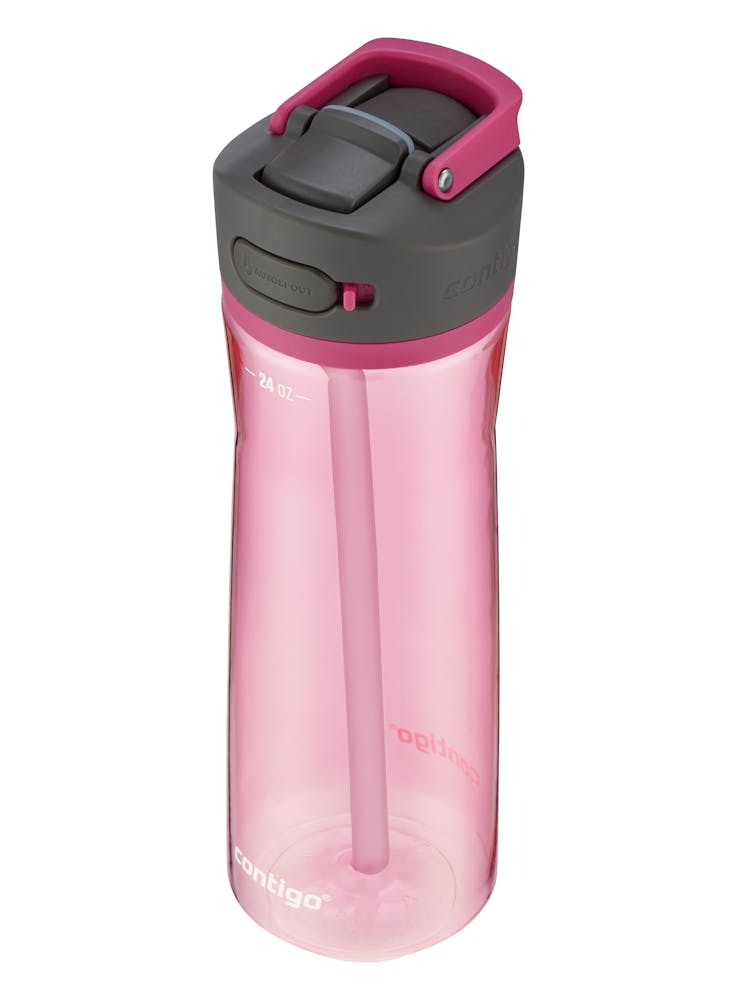 Contigo® Ashland 2.0 Water Bottle with AUTOSPOUT® Lid, 24oz - Dragon Fruit