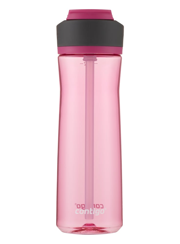Contigo® Ashland 2.0 Water Bottle with AUTOSPOUT® Lid, 24oz - Dragon Fruit