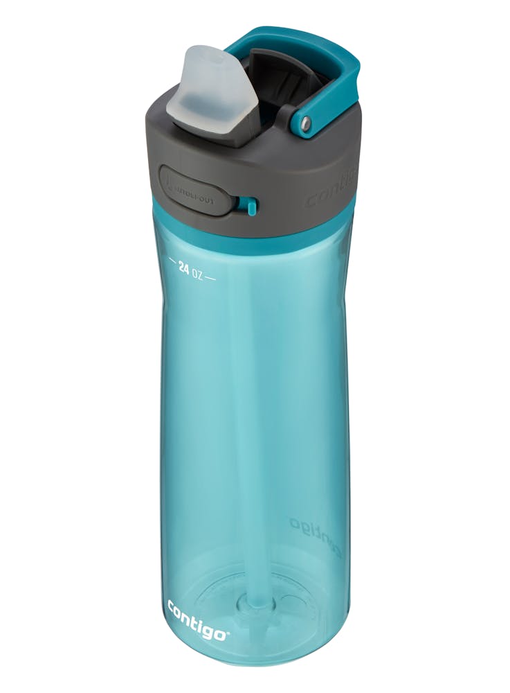 Contigo® Ashland 2.0 Water Bottle with AUTOSPOUT® Lid, 24oz - Juniper